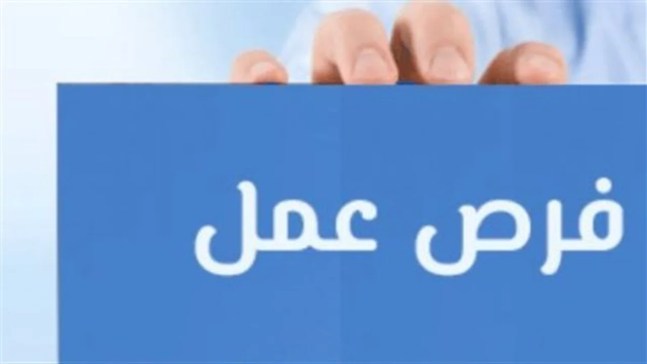 شروط التعيين.. رابط التقديم على وظائف وزارة العمل المتاحة بمختلف المحافظات